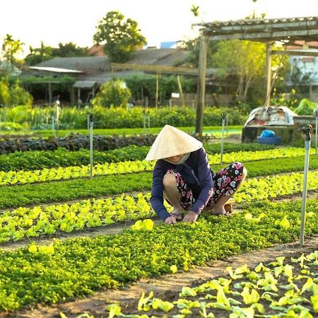 Hoi An Cabbage Garden Lägenhet Exteriör bild